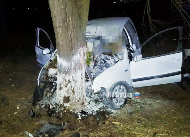 Начинающая автоледи погибла в ДТП на Ставрополье