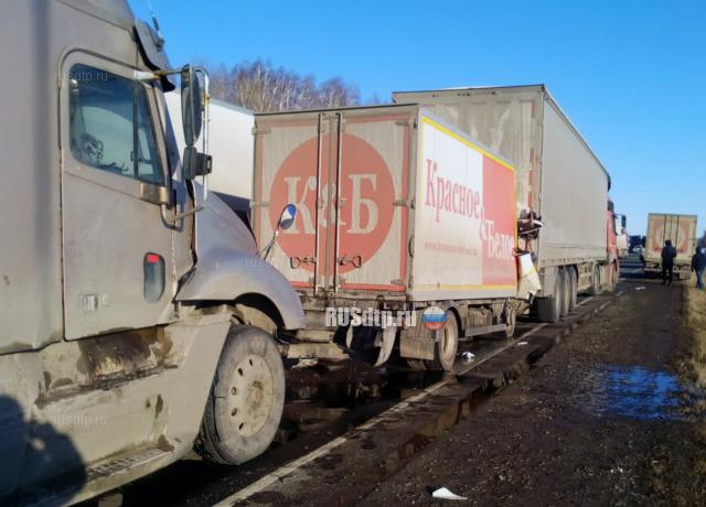 Водитель фургона погиб в массовом ДТП в Омской области