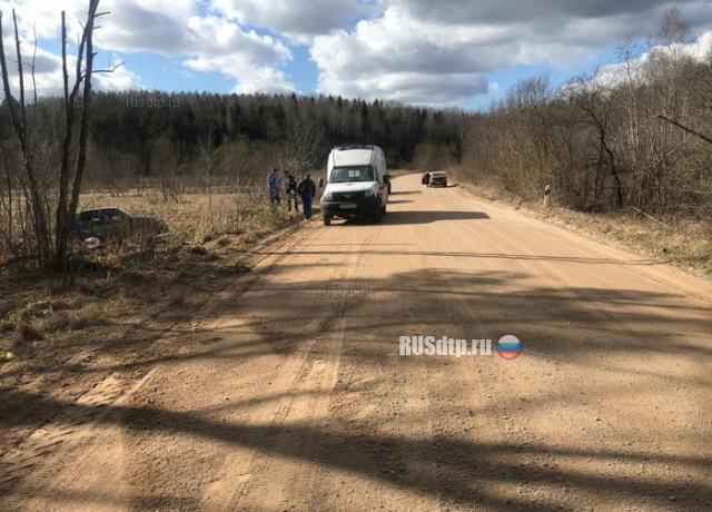 В Псковской области в ДТП погиб водитель «Нивы»