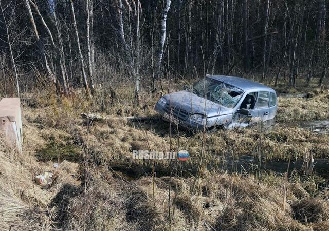 В Псковской области в ДТП погиб водитель «Нивы»