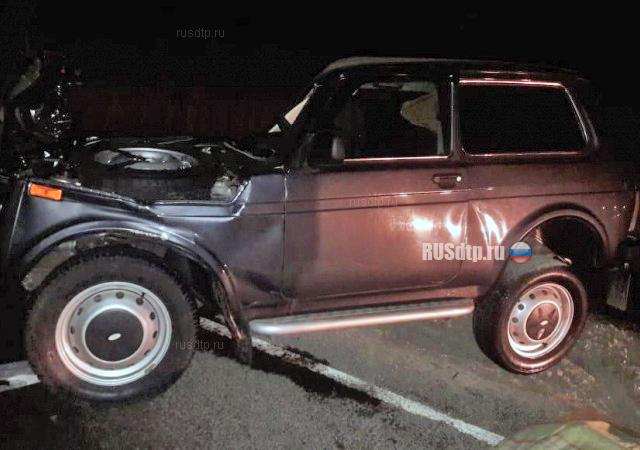 Водитель «Нивы» погиб в ДТП на трассе «Москва — Астрахань»