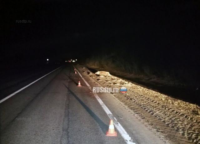 Лосю оторвало голову в ДТП на трассе «Вологда — Новая Ладога»