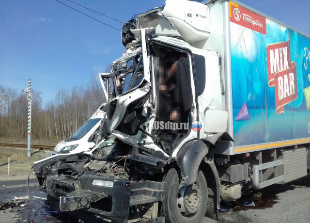 Водитель рефрижератора погиб в ДТП на трассе М-7 в Нижегородской области
