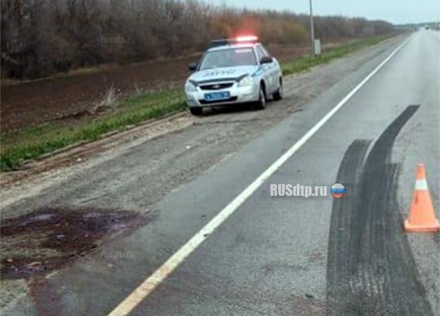 Водитель погиб, сбив лошадь на трассе «Волгоград — Москва»