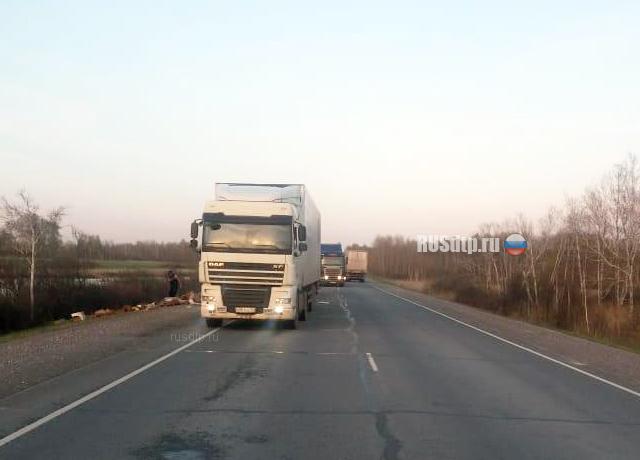 Водитель фургона погиб в ДТП на трассе «Иртыш» в Убинском районе