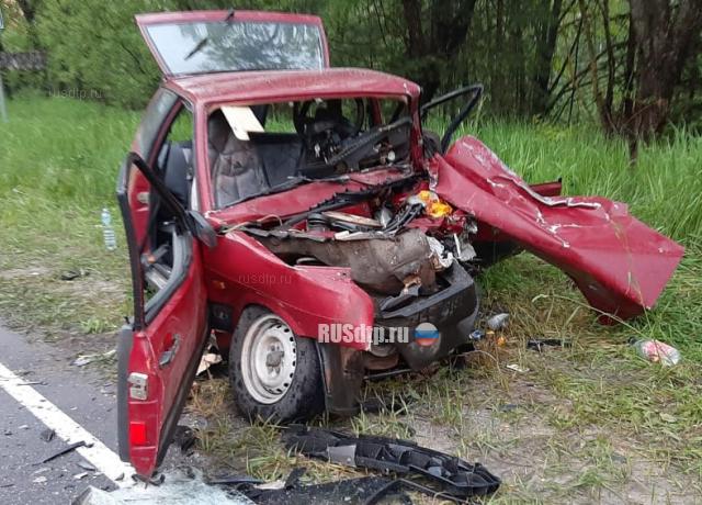 Оба водителя погибли в ДТП в Дятьковском районе