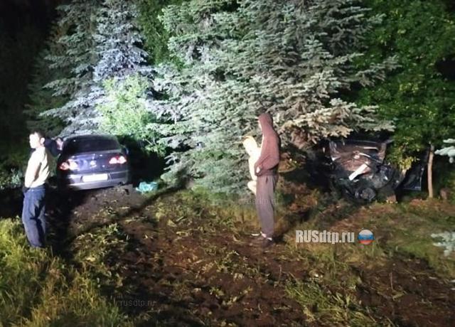 Водитель «Лады» и его 29-летний пассажир погибли в ДТП в Башкирии