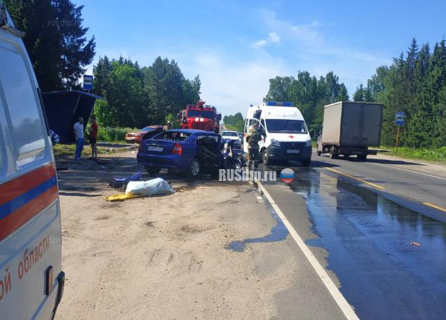 Отец и дочь попали в смертельное ДТП в Ивановской области