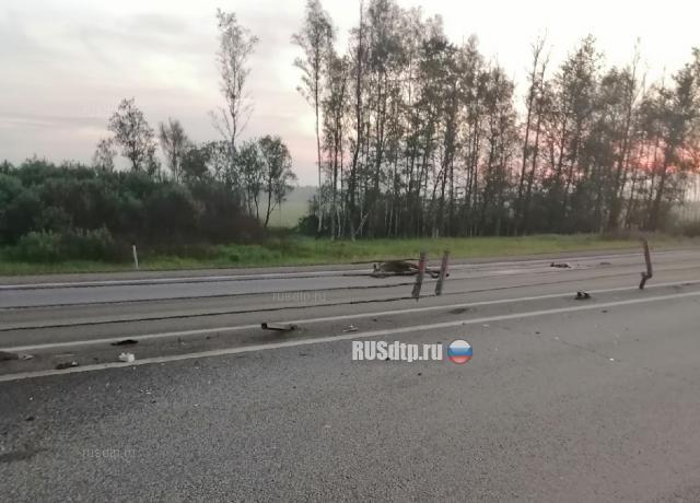 Mitsubishi сбил лося на трассе М-1 «Беларусь»