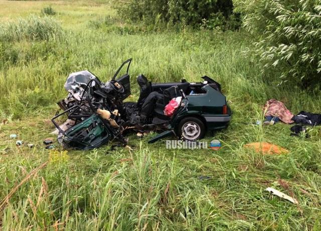 В Татарстане по вине пьяного лихача на BMW погибли супруги