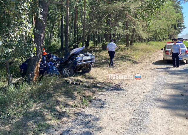 В Ордынском районе 15-летний подросток погиб, врезавшись на автомобиле в дерево
