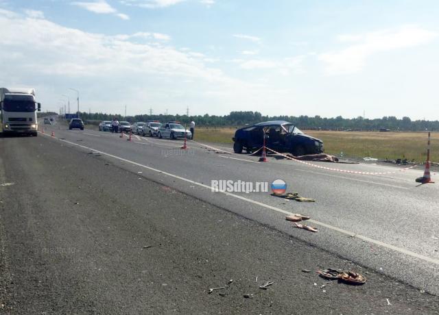 Мужчина и женщина погибли в ДТП на трассе Челябинск — Новосибирск. ВИДЕО