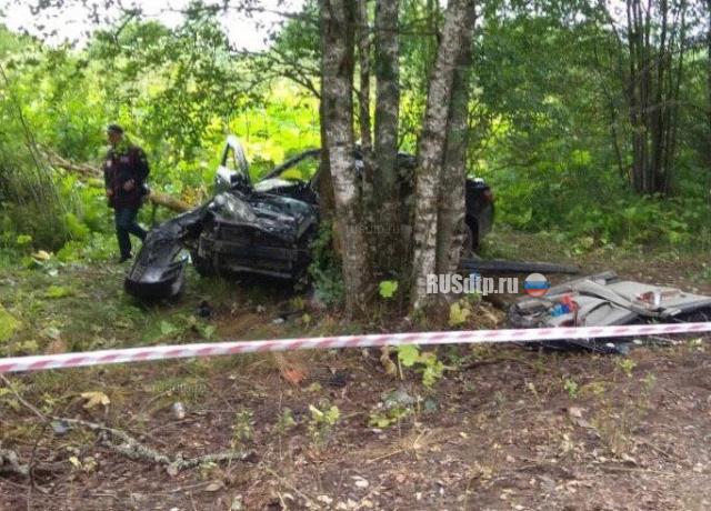 Инспектор ДПС и два его пассажира погибли в ДТП в Сланцевском районе