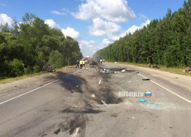 Семья сгорела в автомобиле на трассе М-5 в Пензенской области