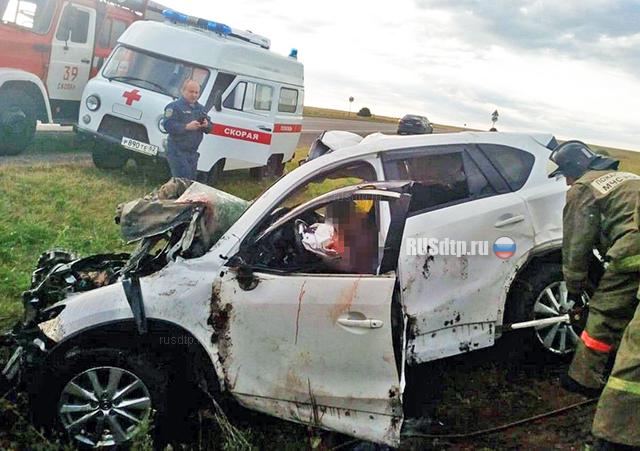 Семья погибла в ДТП на трассе «Каспий» в Рязанской области