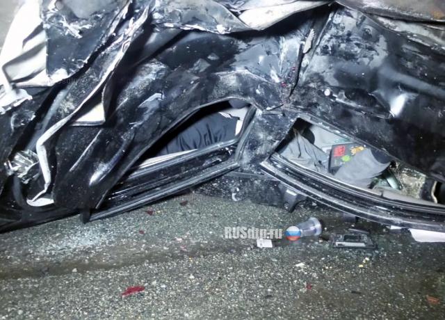 В Екатеринбурге в ДТП погибли водитель и пешеход