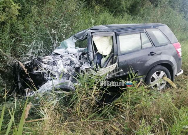 Водитель автомобиля Suzuki погиб, совершив опасный обгон