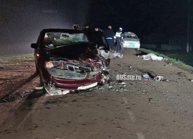 В Чишминском районе в ДТП погиб водитель мопеда