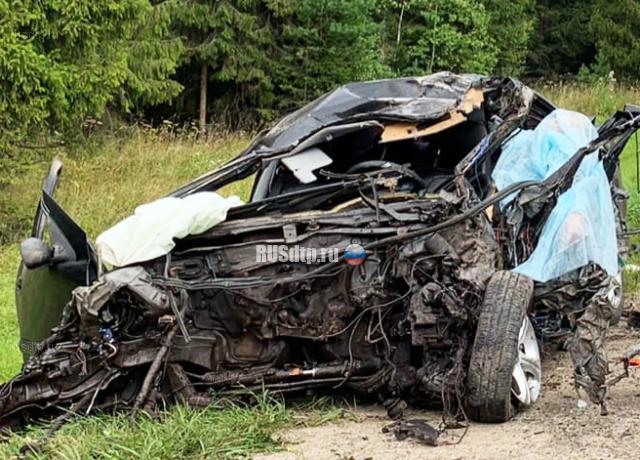 Водитель легковушки погиб в ДТП в Ивановском районе