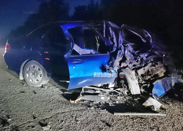 Трое погибли по вине начинающего водителя под Новочеркасском