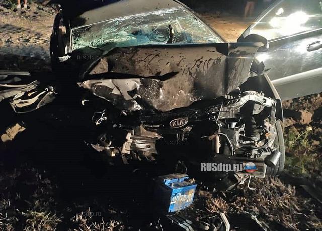 Пассажир «Киа» погиб в ДТП под Анапой