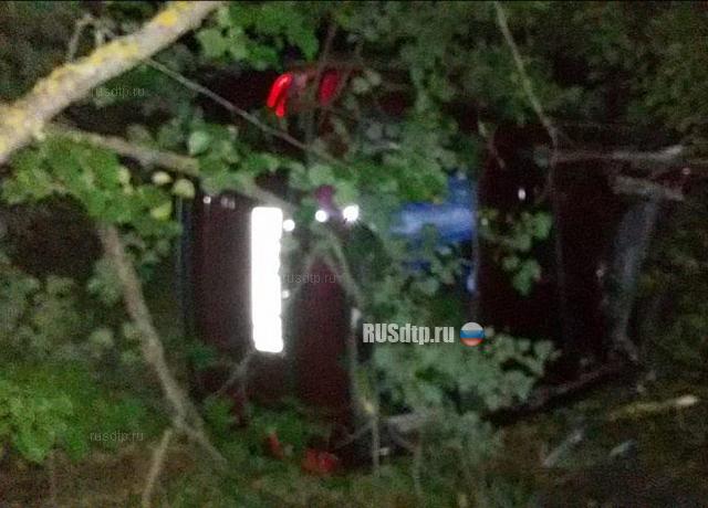 Четыре человека погибли при наезде автомобиля на лося в Псковской области
