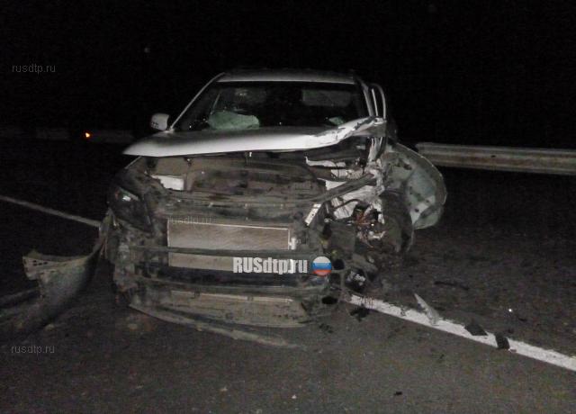 В Нижегородской области пьяный водитель убил двух человек на встречке