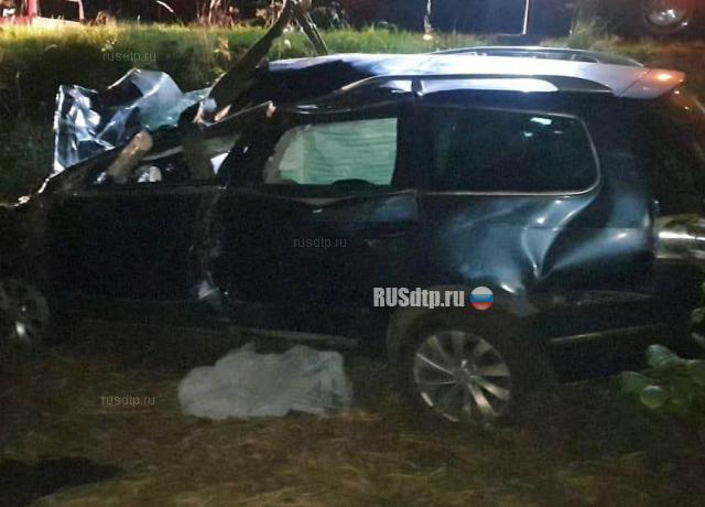 Водитель и пассажир «Пассата» погибли в ДТП в Брянской области