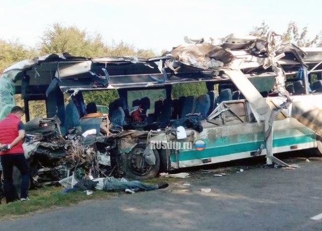 Семь человек погибли в ДТП с автобусом и грузовиком под Калининградом