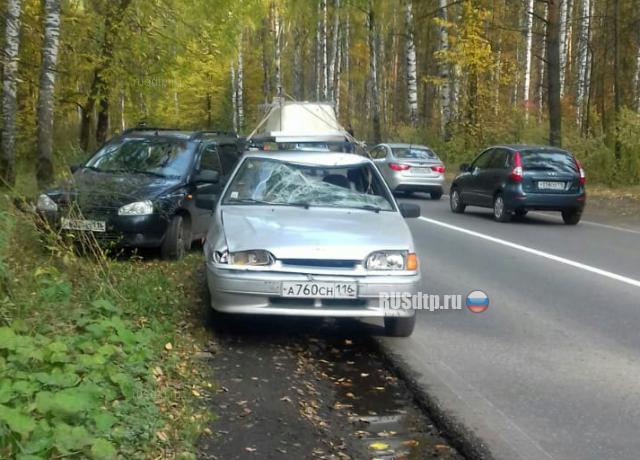 Автомобиль сбил лося в Татарстане. ВИДЕО