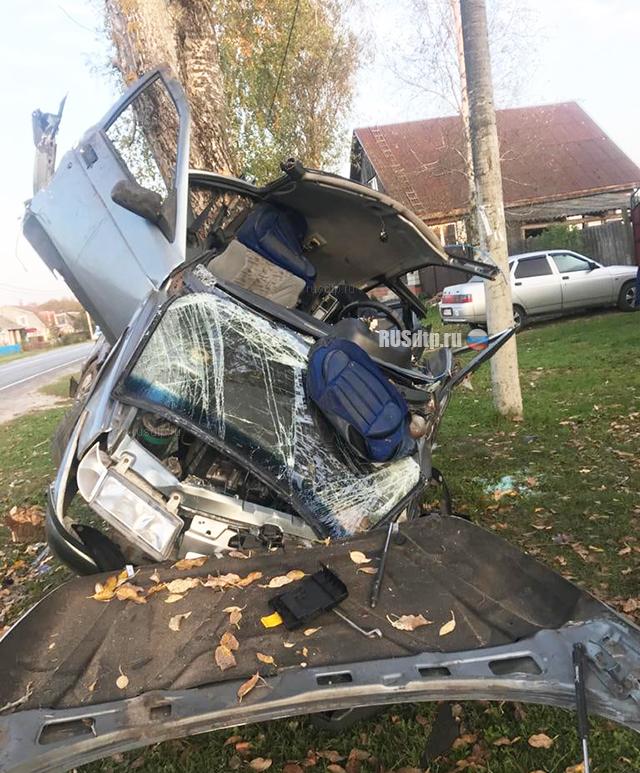 Пьяный водитель врезался в дерево в Дятьковском районе