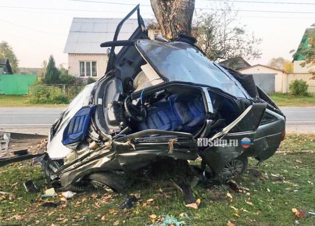 Пьяный водитель врезался в дерево в Дятьковском районе