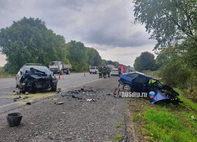 Трое погибли в массовом ДТП во Львовской области