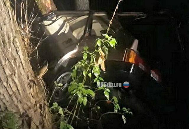 Двое подростков погибли при наезде «Лады» на дерево в Калужской области