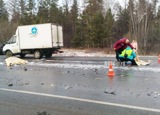 Четыре человека погибли в ДТП на трассе «Сибирь» в Красноярском крае