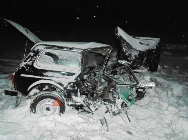 В Новосибирской области в ДТП с Subaru и «Нивой» погибла женщина