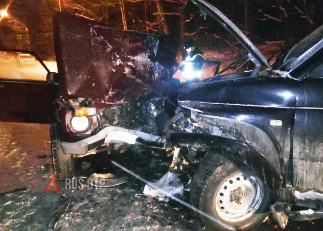 Пассажирка «Нивы» погибла в ДТП в Марий Эл