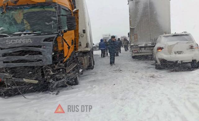 Двое погибли в массовом ДТП в Ростовской области