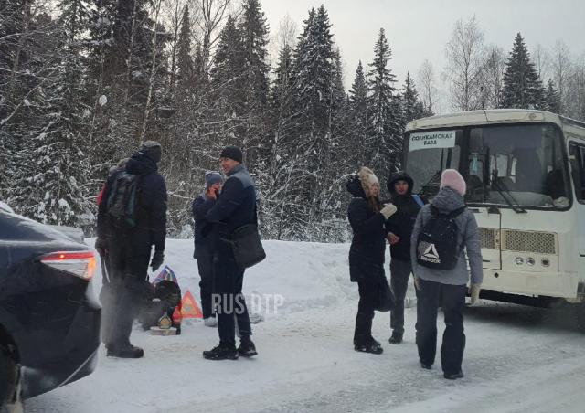 Автобус и лесовоз столкнулись в Пермском крае