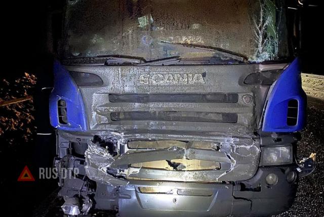 Водители двух «Газелей» погибли в ДТП во Владимирской области