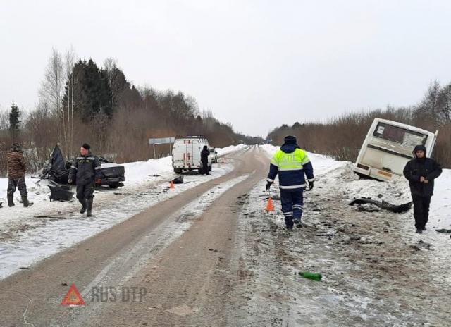 Мать и дочь погибли в ДТП в Вологодской области. ВИДЕО