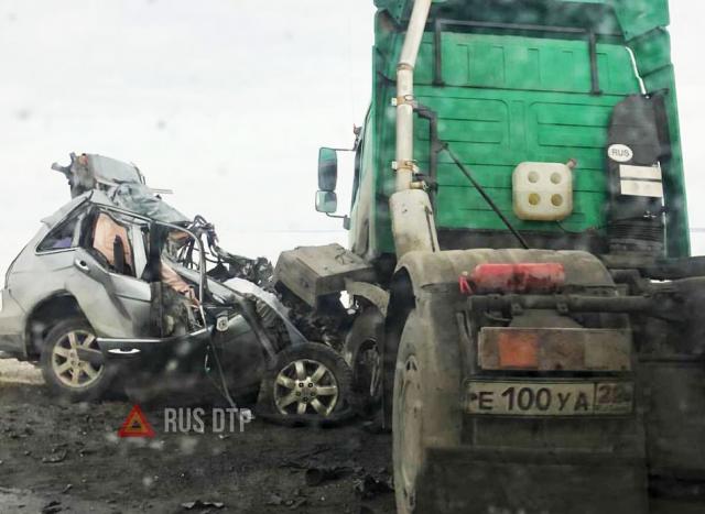 Водитель «Хонды» погиб в ДТП на трассе Барнаул — Рубцовск