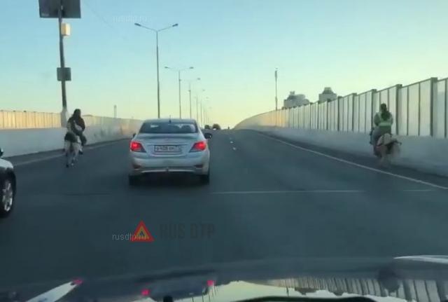 Лошади на шоссе Лошади на шоссе