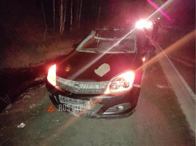 Автомобиль сбил лося на Серовском тракте