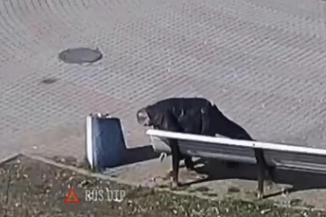 Взорвался мобильник Взорвался мобильник