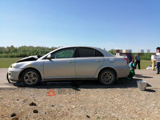 В Башкирии Toyota столкнулась с гужевой повозкой. ВИДЕО