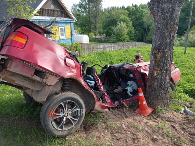 Volkswagen с людьми врезался в дерево в Псковской области
