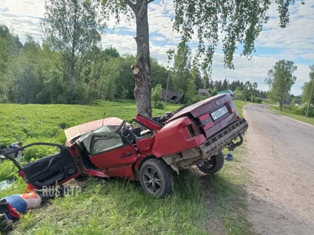 Volkswagen с людьми врезался в дерево в Псковской области
