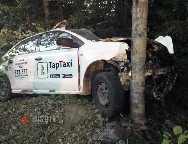 Таксист сбил лося и погиб в результате ДТП в Удмуртии