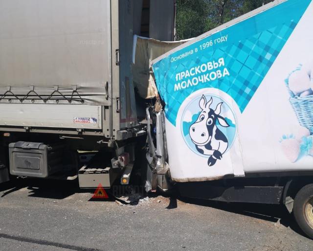 Два человека погибли в ДТП в Псковской области